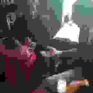 broken image