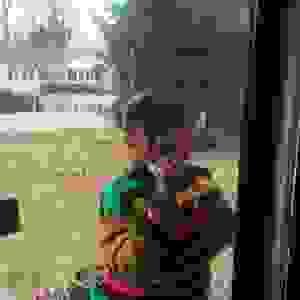 broken image
