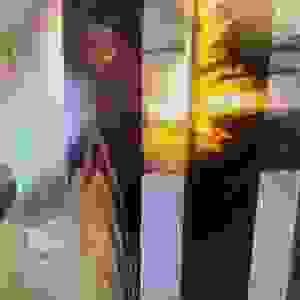 broken image
