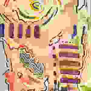 Section image
