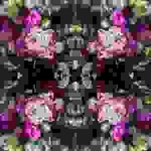 Elizabethe
