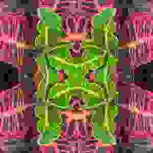 Zezzo
