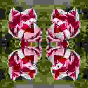 Lilian