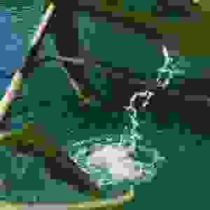 broken image