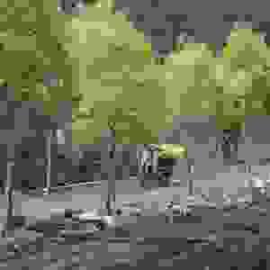 broken image