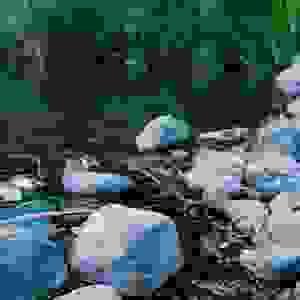 broken image
