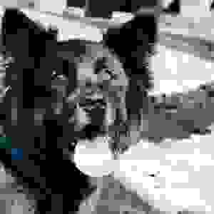 broken image