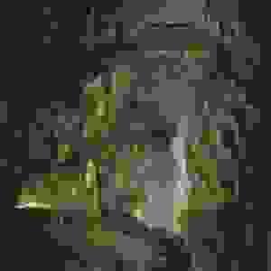 broken image