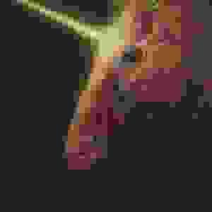 broken image