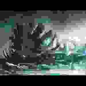 broken image