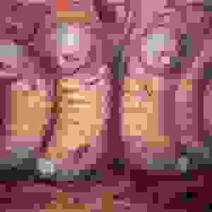 broken image