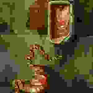 broken image
