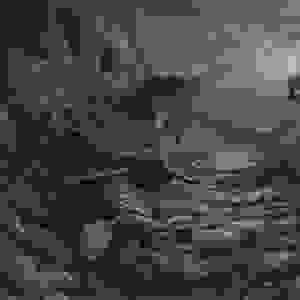 broken image