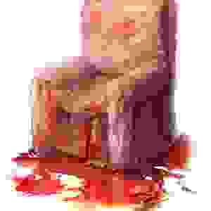 broken image