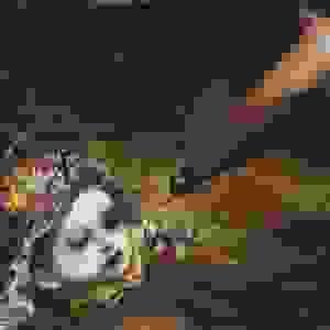 broken image