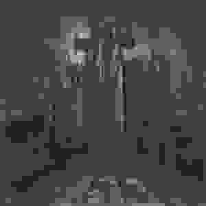 broken image