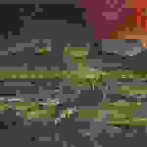 broken image