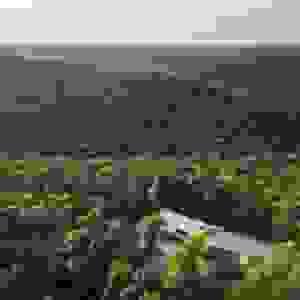 broken image