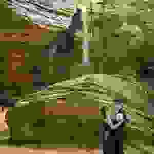 broken image