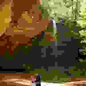 broken image