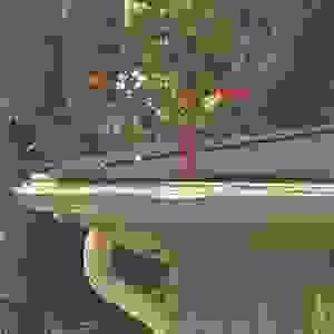 Tree Fall Damage