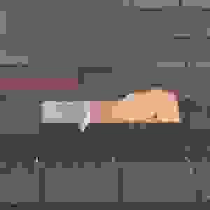 Shingle Damage
