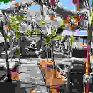 Section image