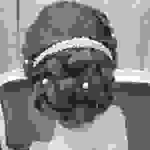 broken image