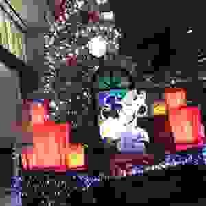 broken image