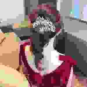 broken image