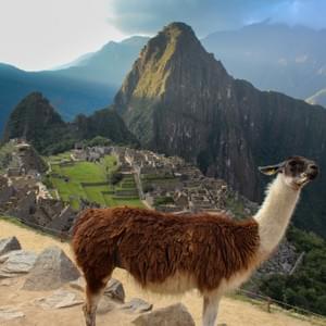 Machu Picchu, Peru