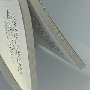 Section image