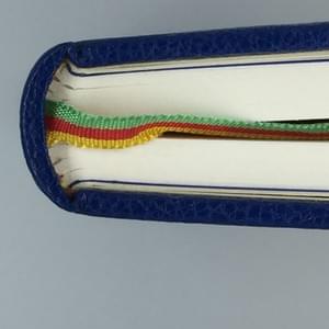 Section image