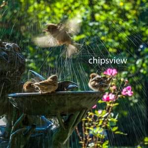 Bird bath 2