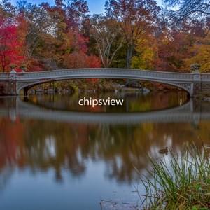 Bow Bridge 1
