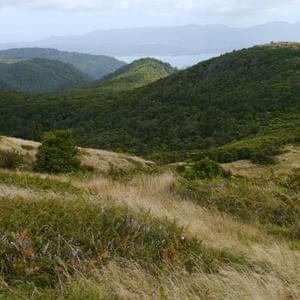 Mountain Road Hike Hokianga