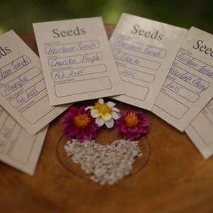 Love Tomato Seed Vault 2025