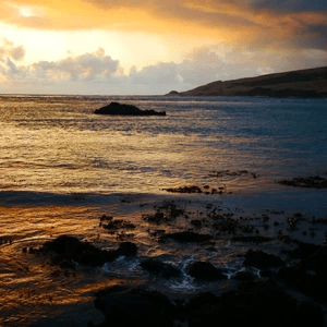 Hokianga Harbour