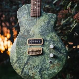 Berg Guitares work of art #1