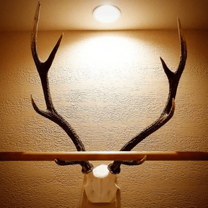 松茸入り海鮮茶碗蒸し　ウニ餡掛け