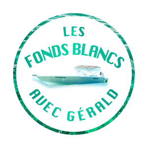 creation-site-internet-logo-lesfondsblancs-avec-gerald