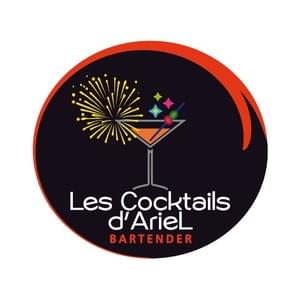 creation-site-internet-martinique-lescocktailsdariel