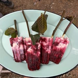 Salmonberry Creamsicles 