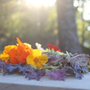 Venice Steak with Garden Greens