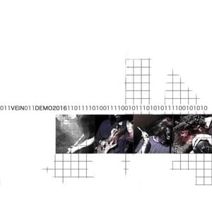 "demo" - vein (2016)