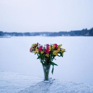 "wreathed in life" - rainsound (2017)