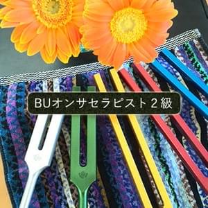 BUオンサセラピスト２級