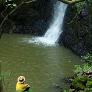 Section image