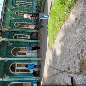 Section image