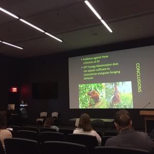 Andrea DiGiorgio, Boston University